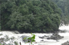 Forest Ministry permits felling of nearly 5000 trees  for Yettinahole Project